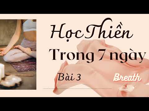 Hướng dẫn thiền cho người mới bắt đầu - Bài 3 - Sự chú tâm