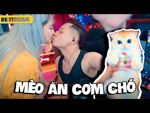 (Restream) Hội ngộ bạn thân Pewpew trên sóng livestream và màn phân phát cơm chó cùng bà chủ kênh.