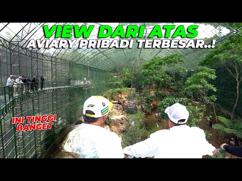 VIEW DARI ATAS SINI BENERAN LUAS BANGET AVIARY PRIBADI TERBESAR..! TAPI TINGGI BANGETT