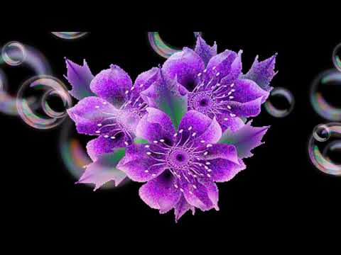 Ngàn Năm Tình Vẫn Đẹp - Quỳnh Dung