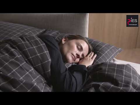 Innovation Malloy Wood Sofa Bed