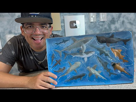 ABRINDO UMA CAIXA CHEIA DE TUBARÕES MEGA RAROS!!!