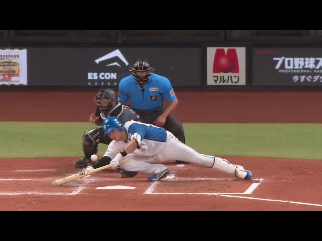 【2回裏】これぞ新庄野球!! ファイターズ・伏見寅威・水野達稀が驚きの2者連続スクイズ!! 2024年8月14日 北海道日本ハムファイターズ 対 千葉ロッテマリーンズ