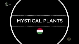 Mystical Plants - Dont stop