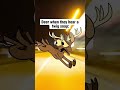 Deer In Headlights
