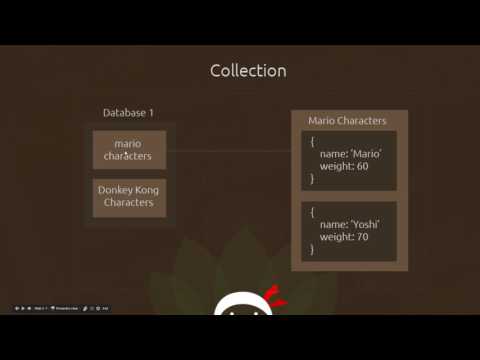 MongoDB Tutorial 4 Models and Collections