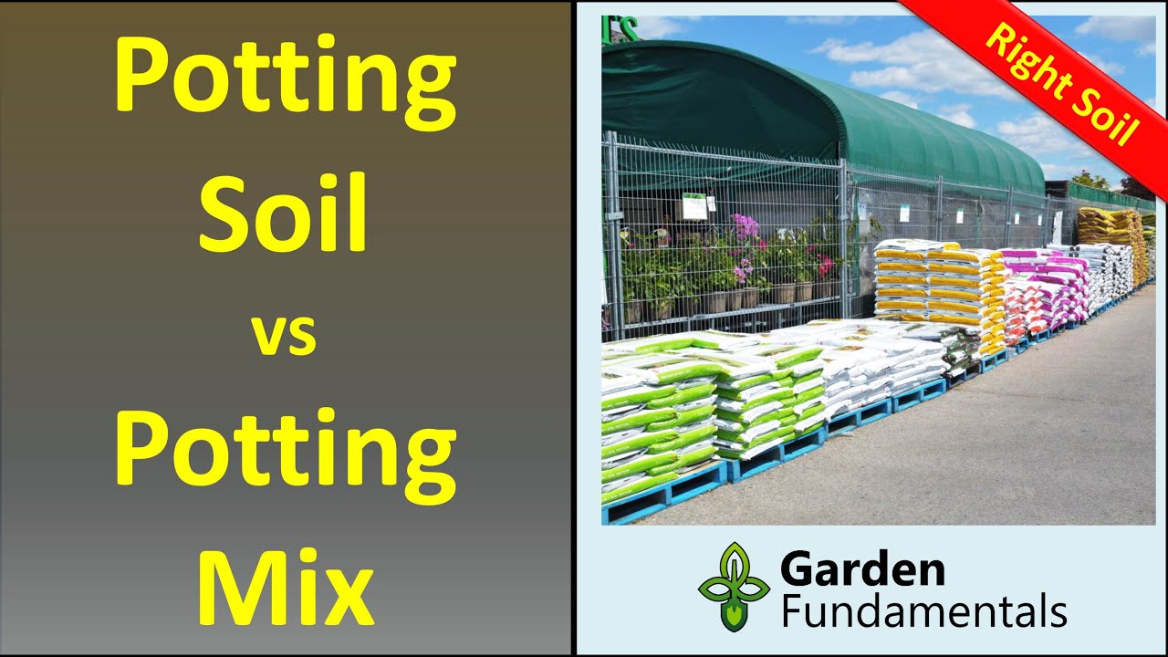 What’s the difference between compost and potting soil? Archive EN