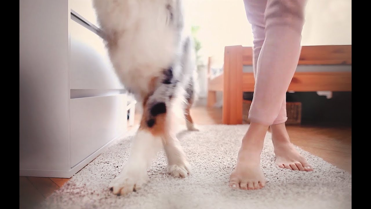 YouTube video preview