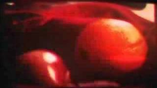 Luke Vibert 'Illogan'