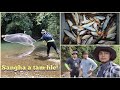 Tuirial Sangha Man Lenden Thiam Turu Net Fishing In Mizoram Part 1