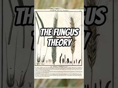 The Fungus Theory #ergot #mystery #history