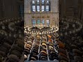 Allahu Akbar Viral Viralshort Shorts Short Allah Namaz
