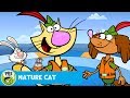 NATURE CAT | The Motion of The Ocean! | PBS KIDS