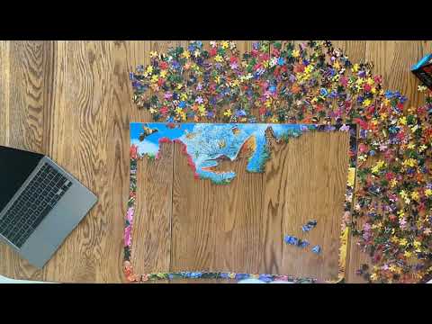 Jigsaw Jordy! 1000 Piece Butterfly Puzzle Timelapse