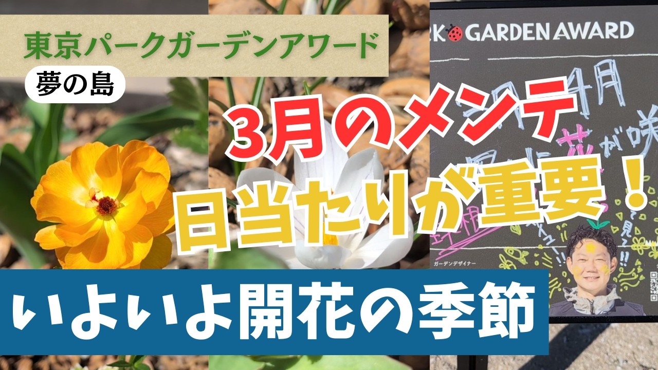 東京パークガーデンアワード夢の島3月レポート動画