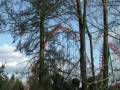 Matt S Top 10 Roller Coasters Of 2008