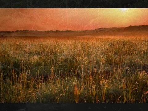 "CHMREING BAKSEI" by Sinn Sisamouth-196x