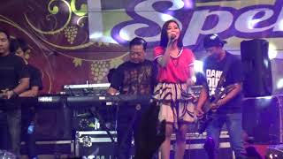 Download lagu ANA KDI - POLISI OM SERA LIVE KUTOARJO mp3 Download lagu ANA KDI - POLISI OM SERA LIVE KUTOARJO mp3