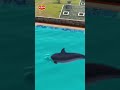 Shiva का Plan Dolphin को सेव करने का Shiva शिवा