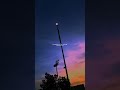 Mareez E Ishq Arijit Singh Love Songs Zid Slow Vibez Lyrics