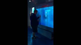 Man Scared by &#39;Shark&#39; in Washington DC Museum