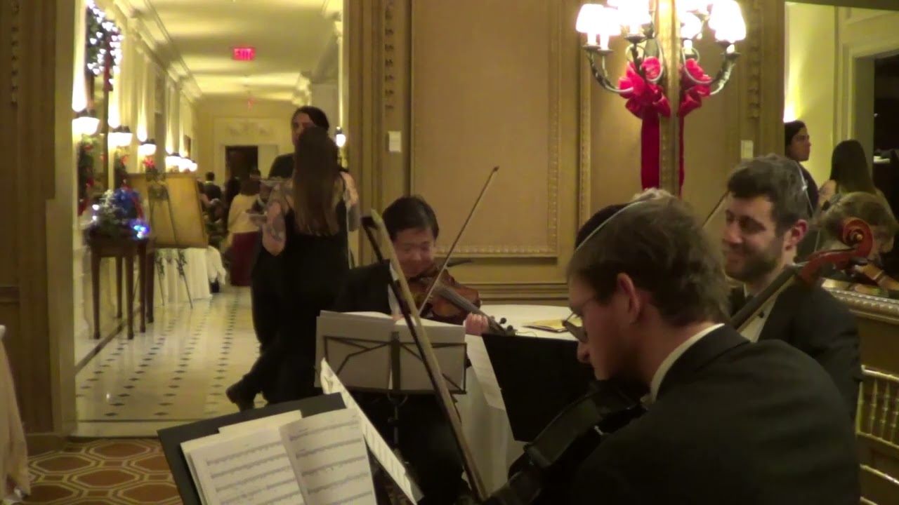 Promotional video thumbnail 19 for Xinou Wei Strings