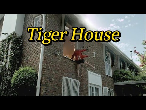 《Tiger House》，The beauty picked up a crossbow and destroyed the entire gang