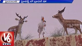 TTF India | Travel & Tourism Fair at Hitex | Hyderabad | Telangana Tourism - V6 News