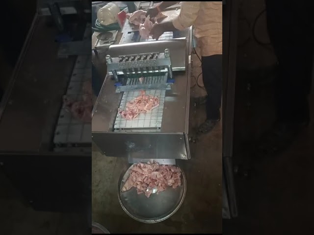 Chicken Cutting Machine - Cube Automatic Chicken Cutting Machine Trader ...