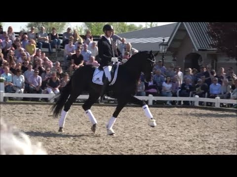 LORD EUROPE v. Lord Leatherdale - Boston *Hengstschau Van Uytert*