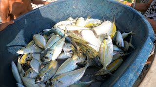 Jackpot sa Matambaka mga Kapwa Mangingisda Dito sa Iba Zambales | BillyAillySeaTV