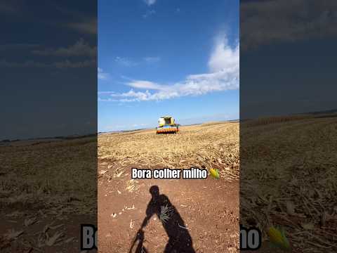 Passando pelo pessoal nos 3 coroas colhendo milho kkk. Vera Cruz do Oeste-pr.
