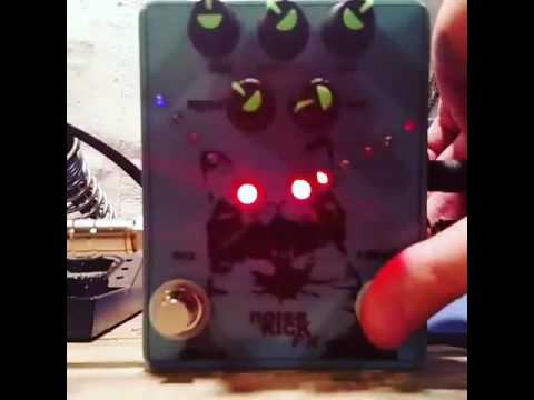 noiseKICK FX Laser Cat Fuzz (Crazy Eyes) image 3
