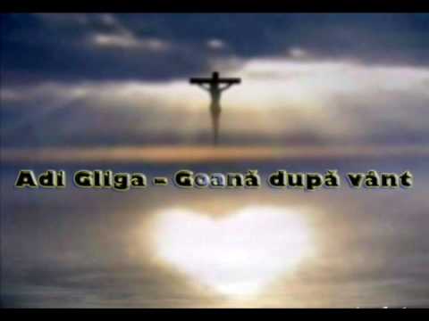 Adi Gliga   Goana dupa vant