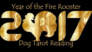 Dog 2017 Chinese New Year Reading - Born 1946, 1958, 1970, 1982, 1994, 2006 - Divine Providence