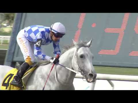 221125 c02 - 1° GRAN BLANCO