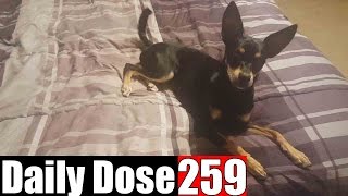 LYNDA'S EPIC RETURN HOME!!!  - #DailyDose Ep.259 | #G1GB