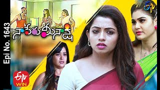 Naa Peru Meenakshi  1st December 2020  Full Episod