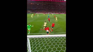 Goal Line Celarances