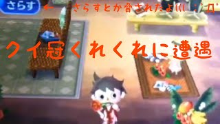 【とび森】オン島でクイかんくれくれ女現る！