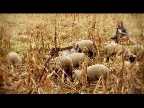 Rebeca Najarro Castro - Sequía