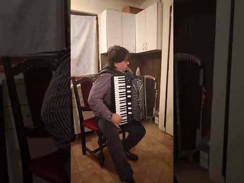 Arsa Harmonikas Psenicica sitno seme