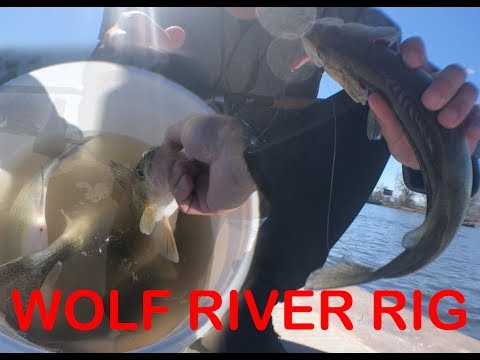 How to tie the Wolf River Rig Fox River urban fishing