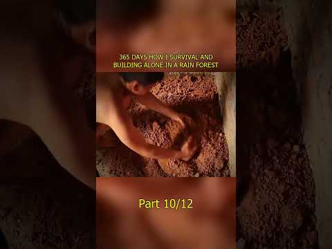 365 DAYS HOW I SURVIVAL AND BUILDING ALONE IN A RAIN FOREST #primitiv   #building #builder #build