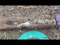 Returned & Found Termites in Sentricon® Stations in Avon by the Sea, NJ