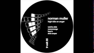 Norman Muller - Bass Is