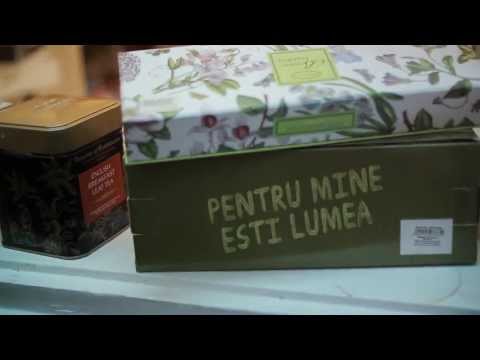 Viky Red feat Ellie White - Vanzator de lumina (Lyric video) HD