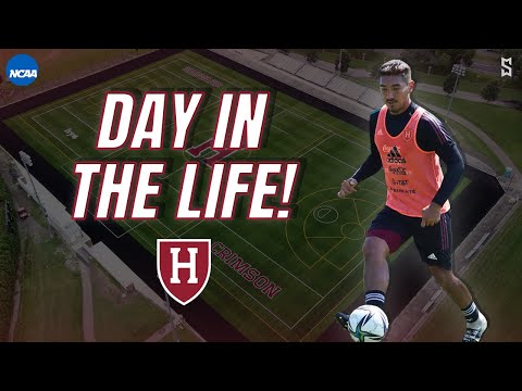 Is harvard soccer d1