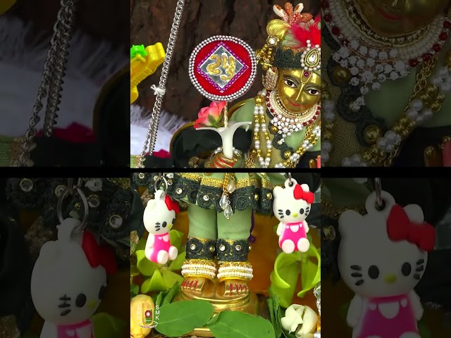 હરિકૃષ્ણ મહારાજ