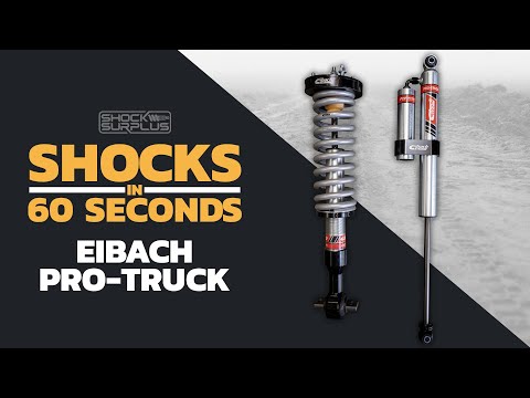 Shocks in 60 Seconds - Eibach Pro-Truck
